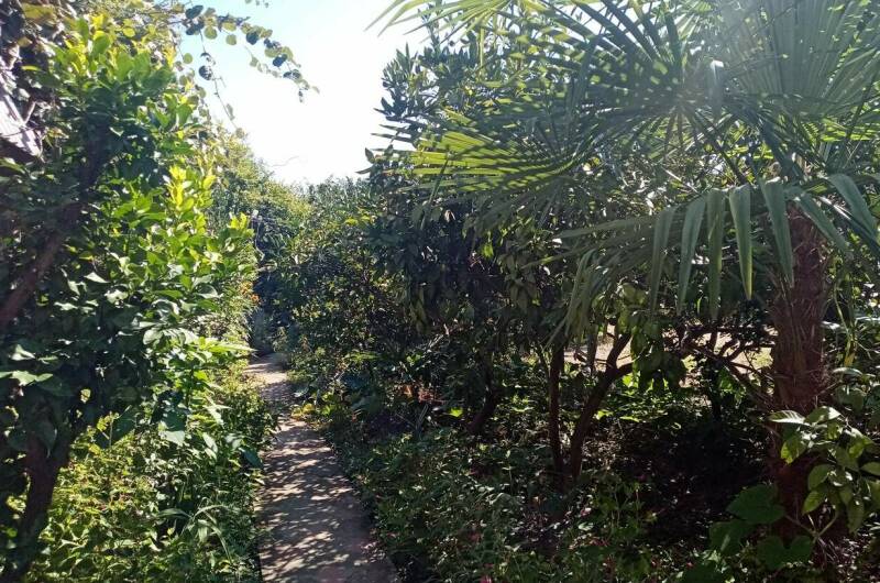 Изображение Изображение гостиницы &quot;Гостевой дом «В гостях У Шушаны»&quot; #8 #6