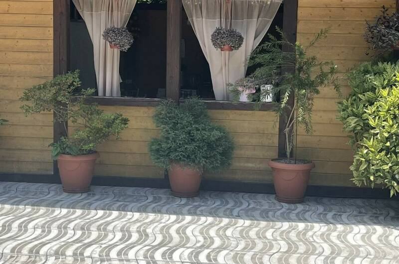 Изображение Изображение гостиницы &quot;Гостевой дом «Ариана»&quot; #10 #8