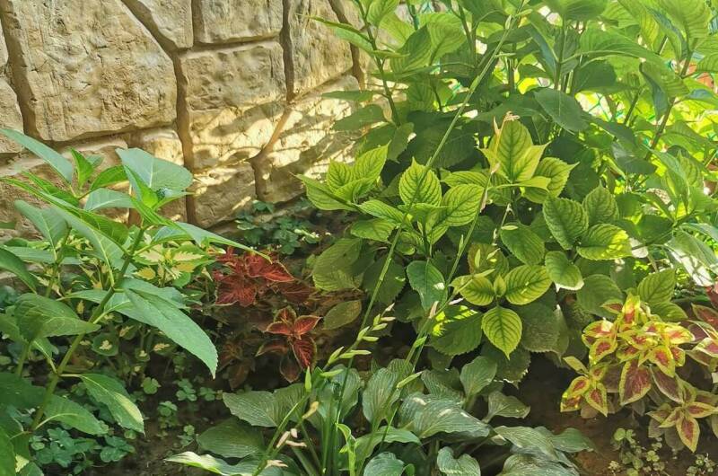 Изображение Изображение гостиницы &quot;Гостевой дом «Балкон»&quot; #3 #1