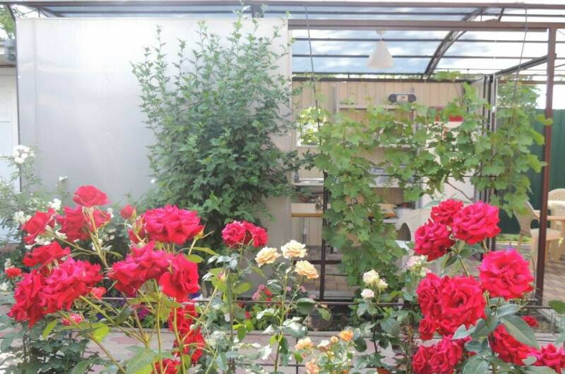 Изображение Изображение гостиницы &quot;Гостевой дом «Relax»&quot; #5 #3