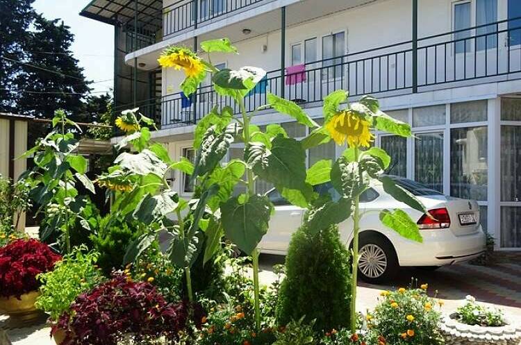 Изображение Изображение гостиницы &quot;Частный сектор на Калараш 77&quot; #7 #5