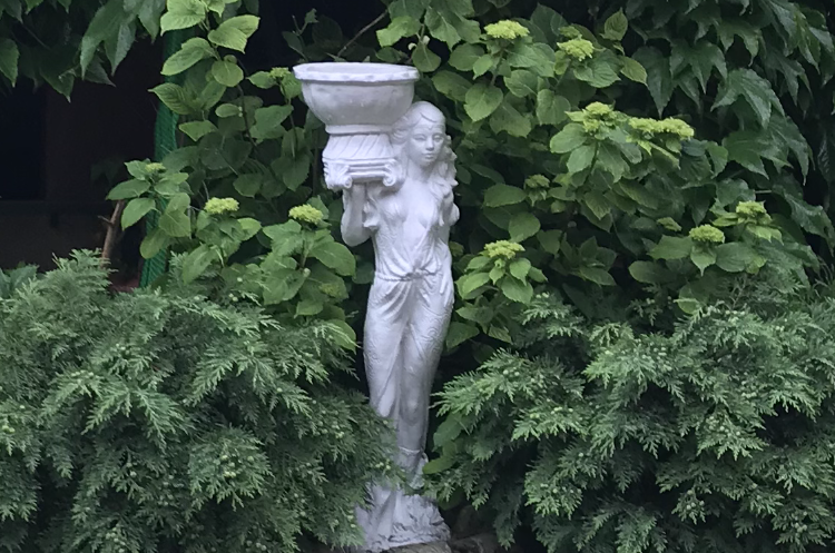 Изображение гостиницы "Гостевой дом «Дельфин»" #1