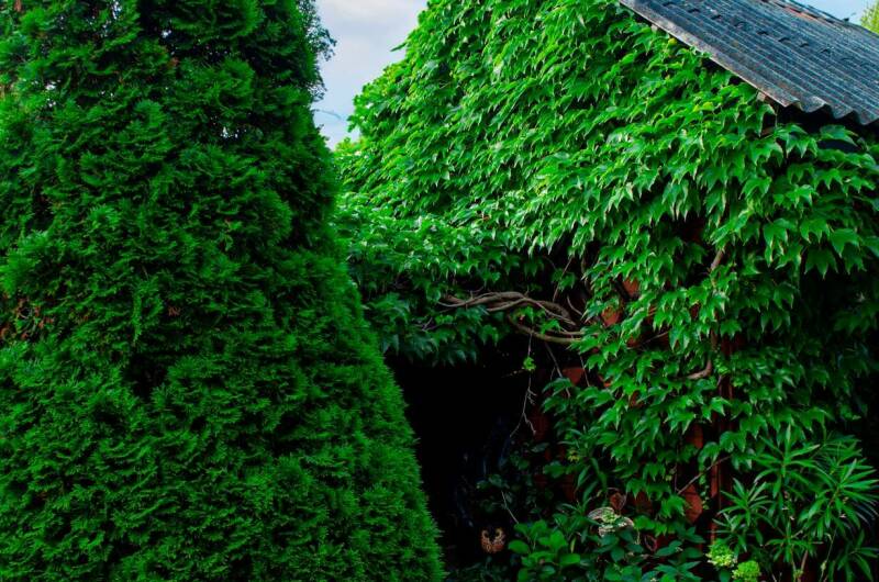 Изображение Изображение гостиницы &quot;Гостевой дом «Дельфин»&quot; #3 #1