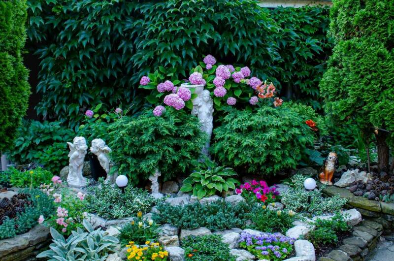 Изображение Изображение гостиницы &quot;Гостевой дом «Дельфин»&quot; #5 #3