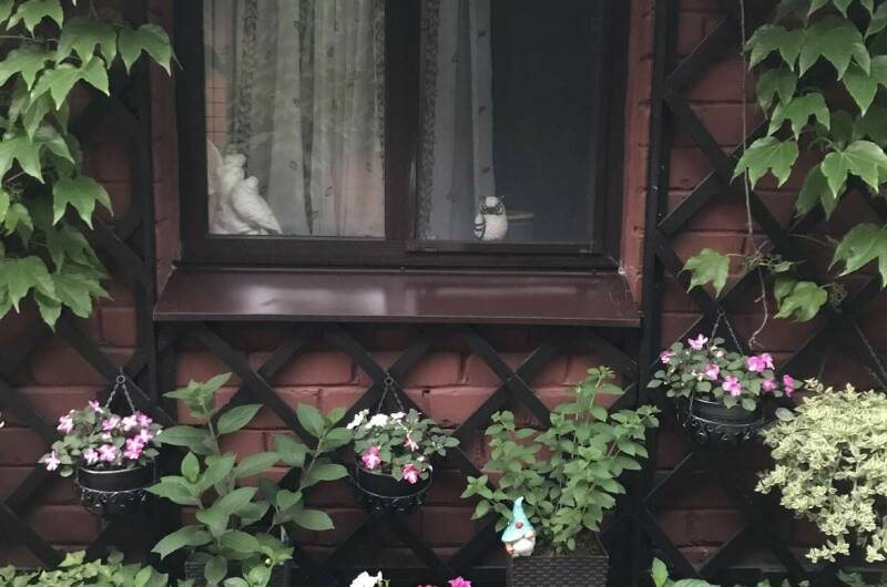 Изображение Изображение гостиницы &quot;Гостевой дом «Дельфин»&quot; #6 #4