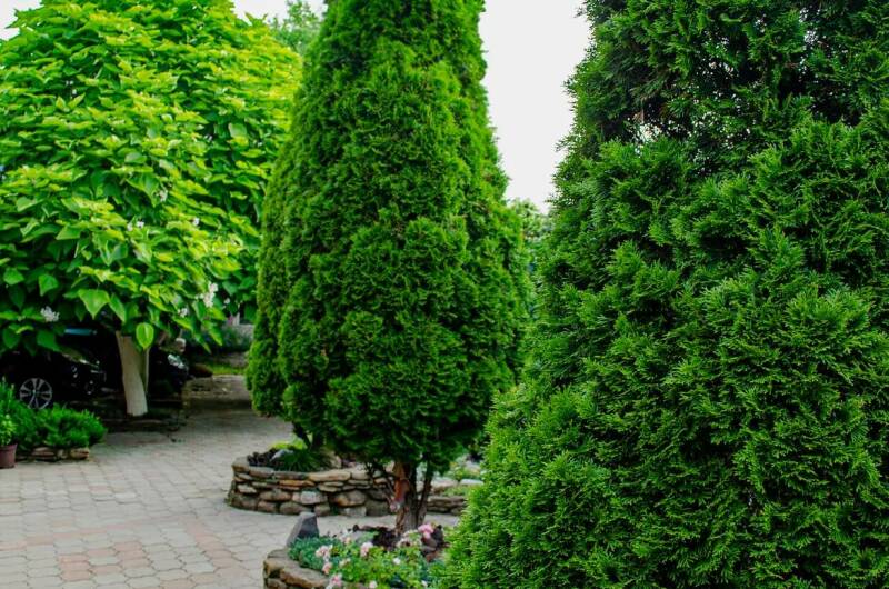 Изображение Изображение гостиницы &quot;Гостевой дом «Дельфин»&quot; #7 #5