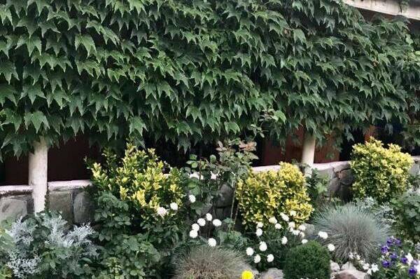 Изображение Изображение гостиницы &quot;Гостевой дом «Дельфин»&quot; #9 #7