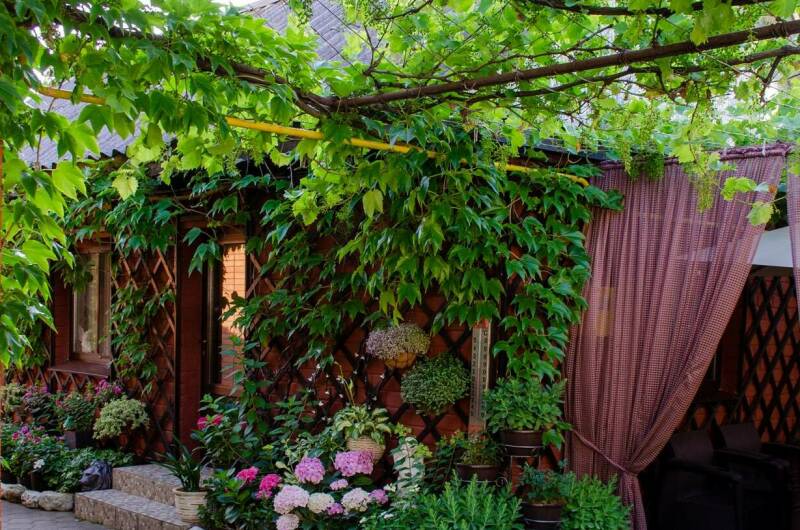 Изображение Изображение гостиницы &quot;Гостевой дом «Дельфин»&quot; #10 #8