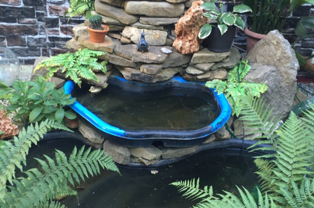 Изображение Изображение гостиницы &quot;Гостевой дом «Арма»&quot; #4 #2