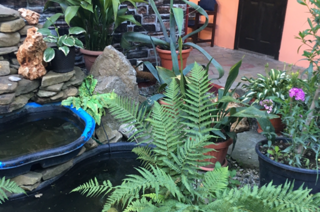 Изображение Изображение гостиницы &quot;Гостевой дом «Арма»&quot; #7 #5