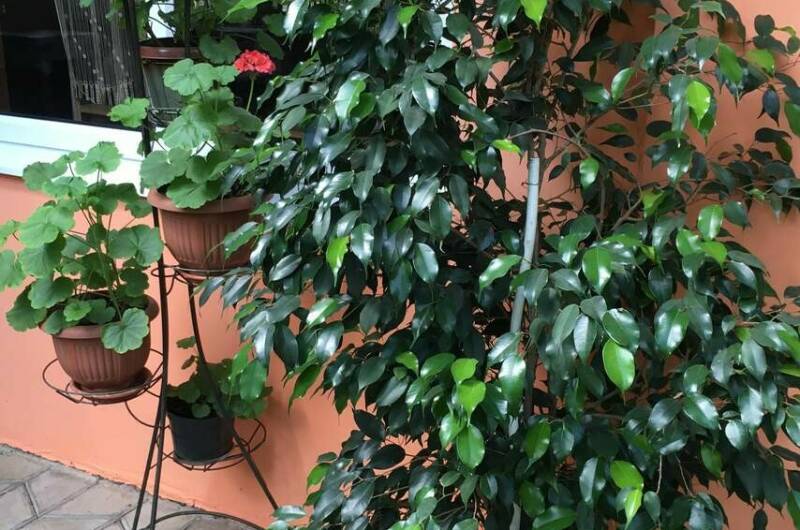 Изображение Изображение гостиницы &quot;Гостевой дом «Арма»&quot; #10 #8