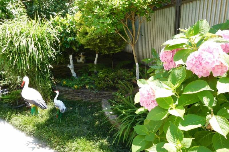 Изображение Изображение гостиницы &quot;Гостевой дом у самого моря «Свирель»&quot; #9 #7