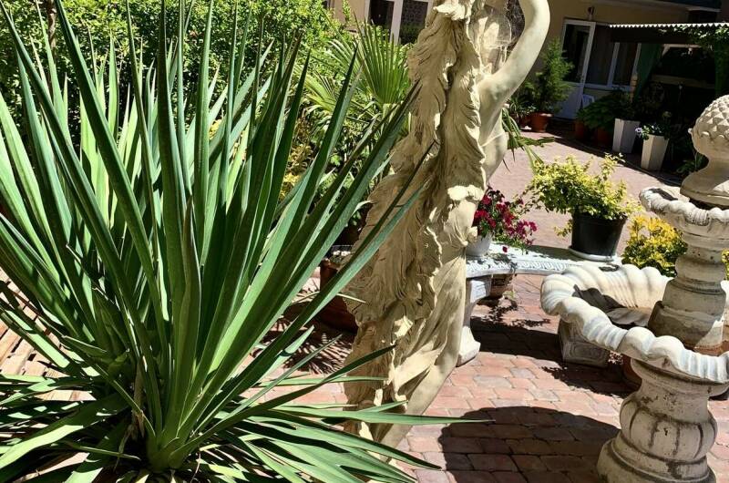 Изображение Изображение гостиницы &quot;Гостевой дом «Адель»&quot; #5 #3