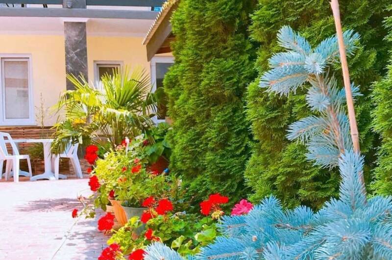 Изображение Изображение гостиницы &quot;Гостевой дом «Адель»&quot; #6 #4