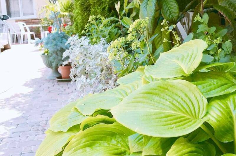 Изображение Изображение гостиницы &quot;Гостевой дом «Адель»&quot; #8 #6