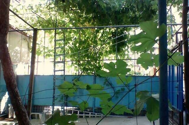 Изображение Изображение гостиницы &quot;Частный сектор «Старые сказки»&quot; #4 #2