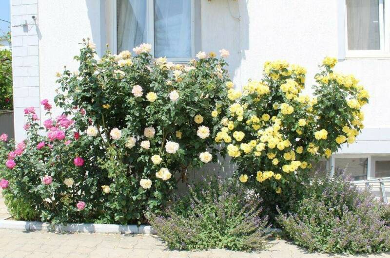 Изображение Изображение гостиницы &quot;Гостевой дом «Лидия»&quot; #8 #6