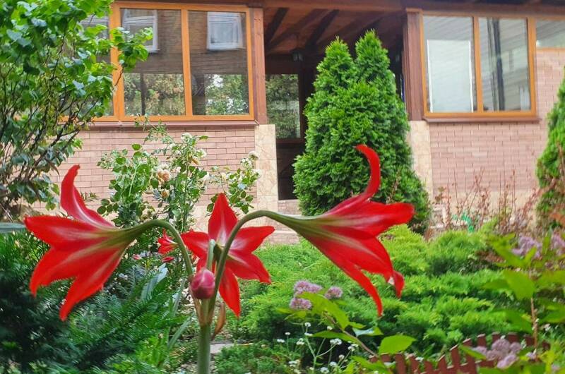 Изображение Изображение гостиницы &quot;Частный сектор «Анна»&quot; #3 #1