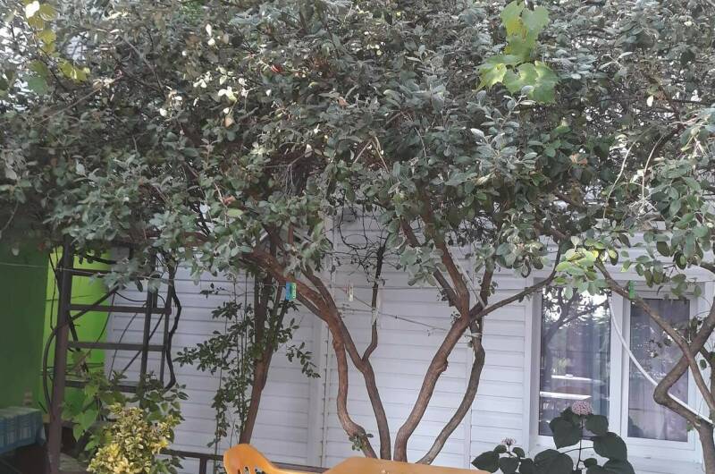 Изображение Изображение гостиницы &quot;Частный сектор «У Натальи»&quot; #4 #2