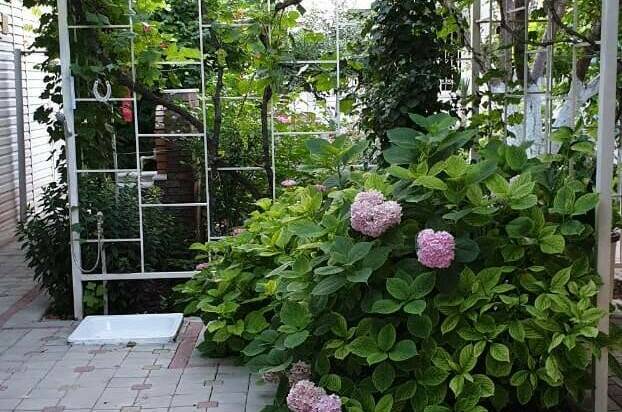 Изображение Изображение гостиницы &quot;Усадьба на Горького&quot; #5 #3