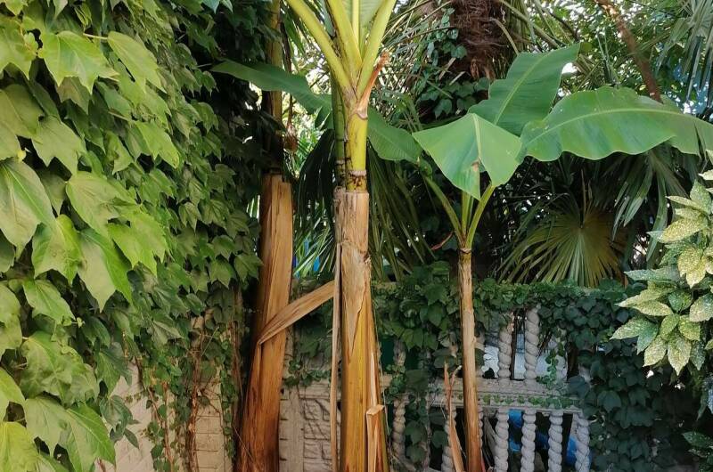 Изображение Изображение гостиницы &quot;Частный дом «На Набережной»&quot; #4 #2