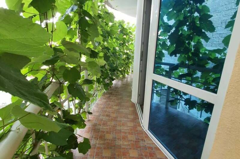 Изображение Изображение гостиницы &quot;Гостевой дом «Оскар»&quot; #8 #6