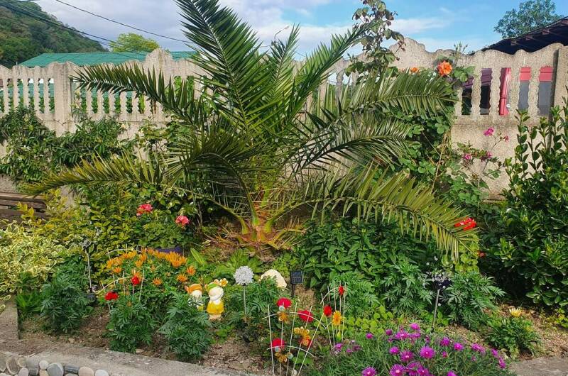 Изображение Изображение гостиницы &quot;Гостевой дом «Breeze»&quot; #7 #5