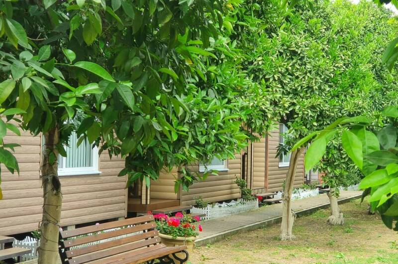 Изображение Изображение гостиницы &quot;Гостевой дом «Breeze»&quot; #10 #8