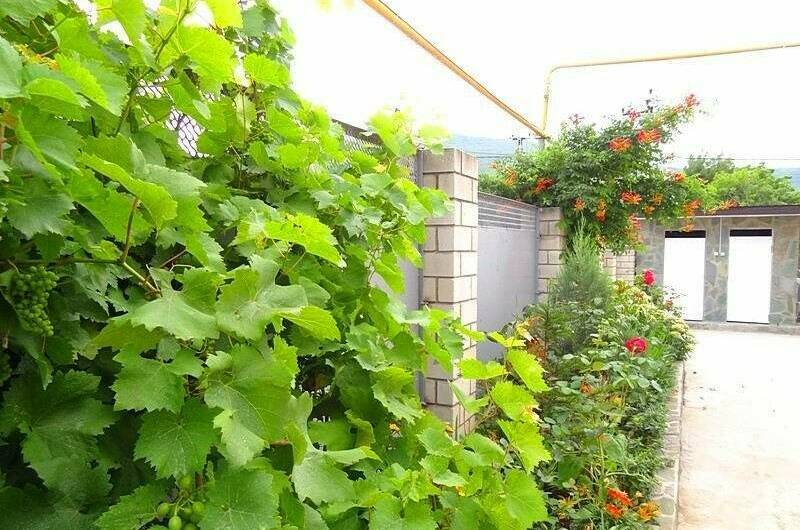 Изображение Изображение гостиницы &quot;Гостевой дом «Helen»&quot; #3 #1