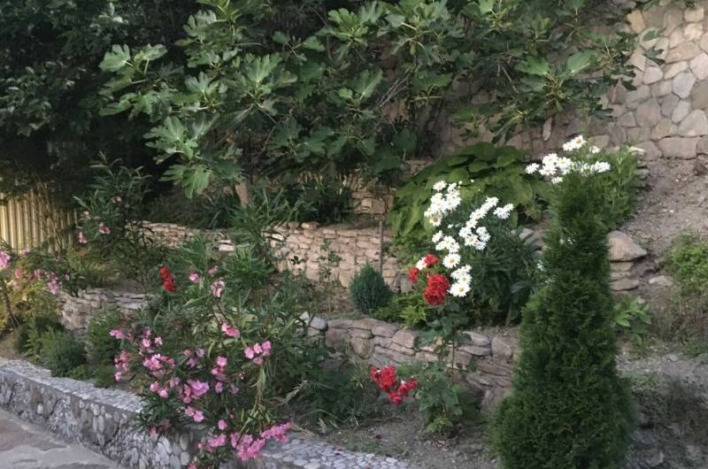 Изображение Изображение гостиницы &quot;Гостевой дом «Александра»&quot; #9 #7