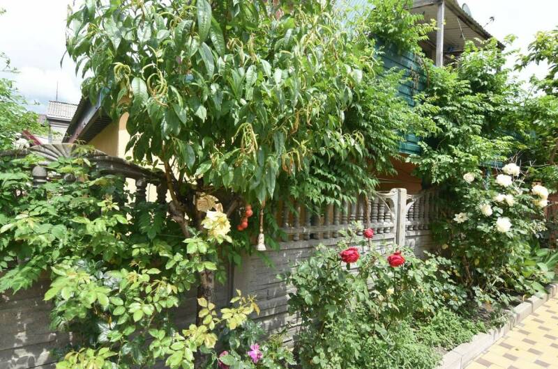 Изображение Изображение гостиницы &quot;Гостевой дом «Астра»&quot; #7 #5