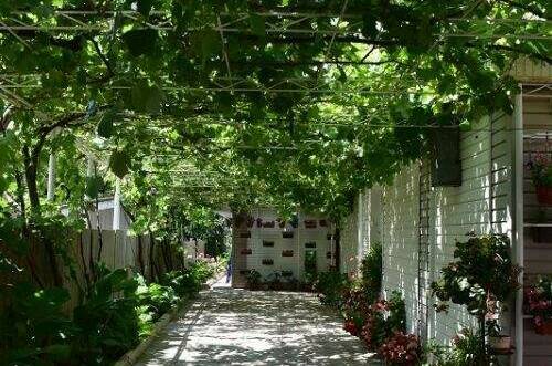 Изображение Изображение гостиницы &quot;Гостевой дом «Лара»&quot; #4 #2