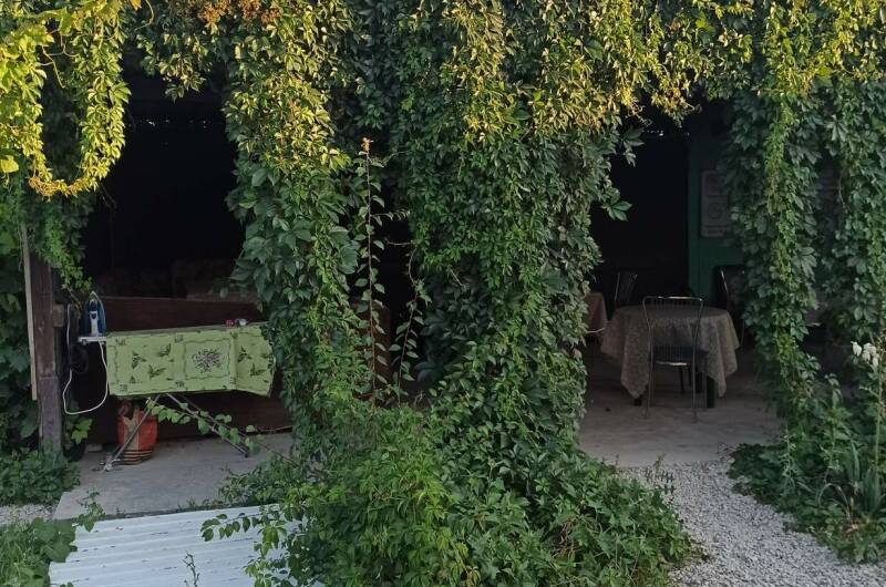 Изображение Изображение гостиницы &quot;Гостевой дом «У Алима»&quot; #9 #7