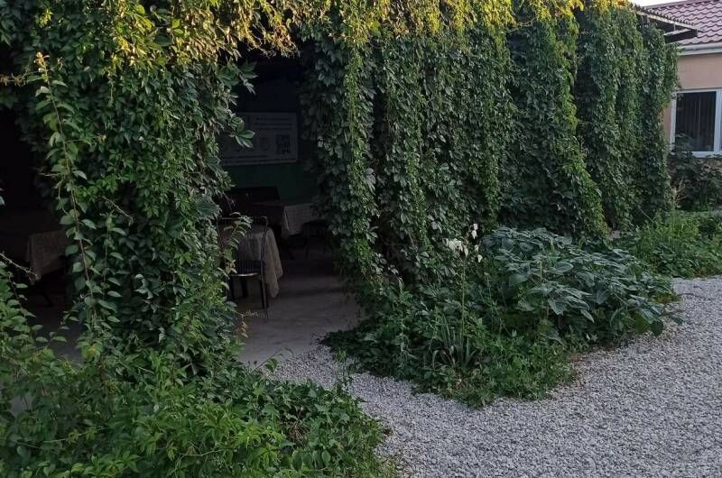 Изображение Изображение гостиницы &quot;Гостевой дом «У Алима»&quot; #11 #9