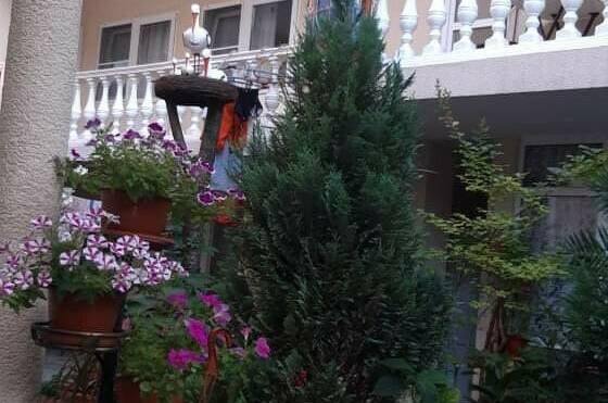 Изображение Изображение гостиницы &quot;Гостевой дом «Валентина»&quot; #5 #3