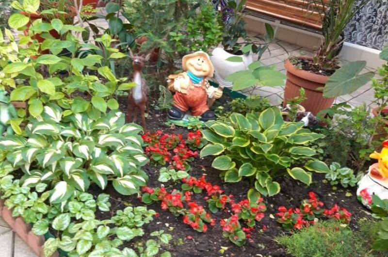 Изображение Изображение гостиницы &quot;Гостевой дом «Валентина»&quot; #6 #4