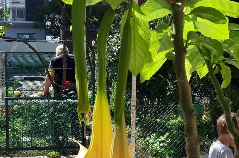 Изображение Изображение гостиницы &quot;Гостевой дом на Школьной&quot; #3 #1