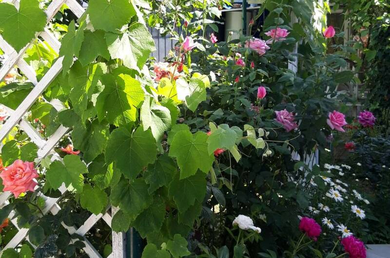 Изображение Изображение гостиницы &quot;Гостевой дом на Школьной&quot; #9 #7