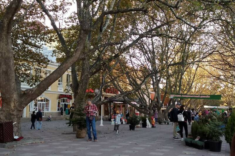 Изображение Изображение гостиницы &quot;Гостевые комнаты «Прибойная 8»&quot; #6 #4