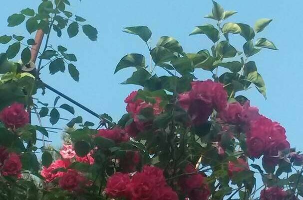 Изображение Изображение гостиницы &quot;Гостевые комнаты «Прибойная 8»&quot; #7 #5