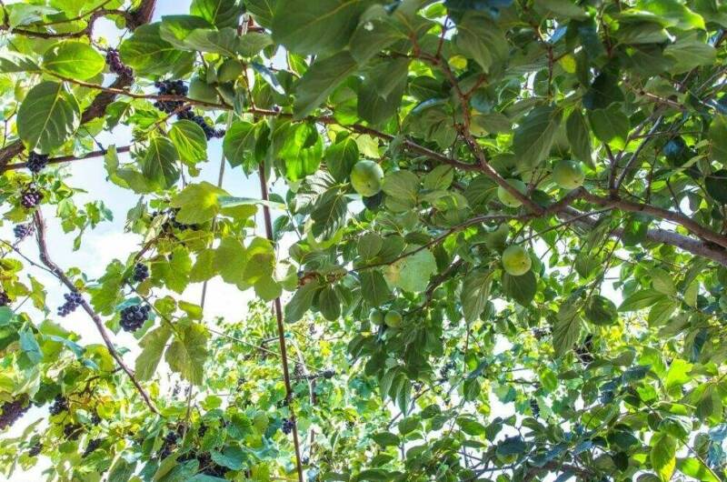 Изображение Изображение гостиницы &quot;Гостевые комнаты «Прибойная 8»&quot; #9 #7