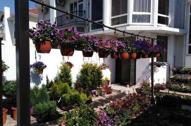 Изображение Изображение гостиницы &quot;Гостевой дом «Долина цветов»&quot; #4 #2