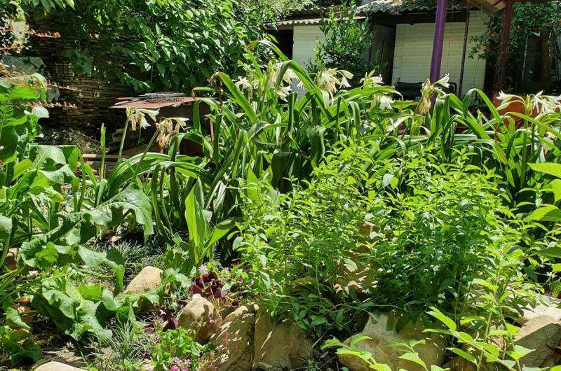 Изображение Изображение гостиницы &quot;Гостевой дом «У моря»&quot; #4 #2