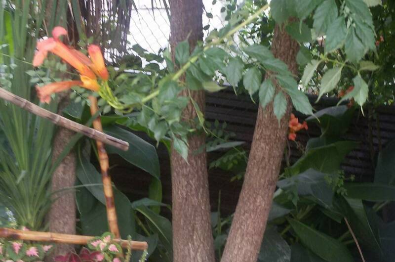 Изображение Изображение гостиницы &quot;Гостевой дом «Эвкалипт»&quot; #4 #2