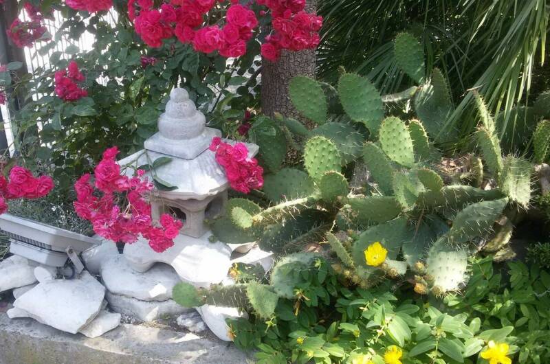 Изображение Изображение гостиницы &quot;Гостевой дом «Эвкалипт»&quot; #5 #3