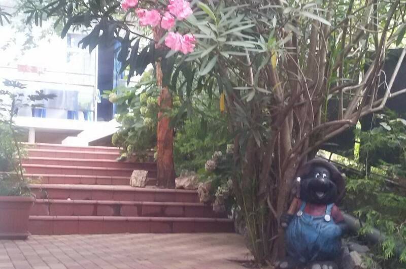 Изображение Изображение гостиницы &quot;Гостевой дом «Эвкалипт»&quot; #9 #7