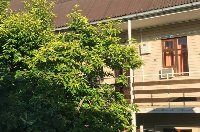 Изображение гостиницы "Гостевой дом «На Ростовской»" #1