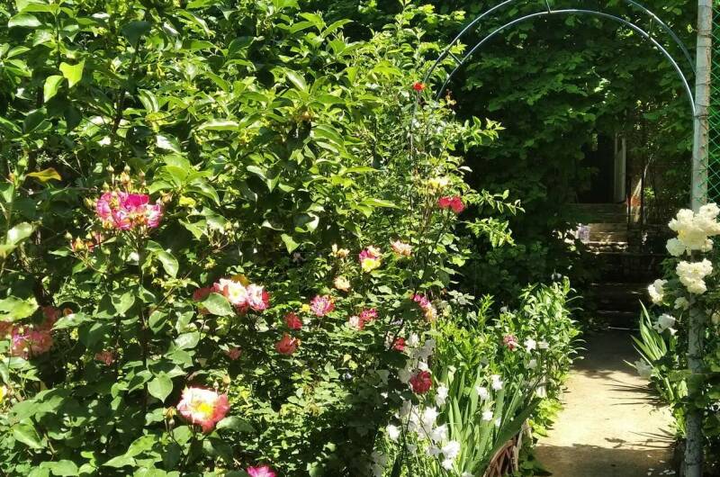 Изображение Изображение квартиры &quot;Домик на Лесной 27&quot; #4 #2