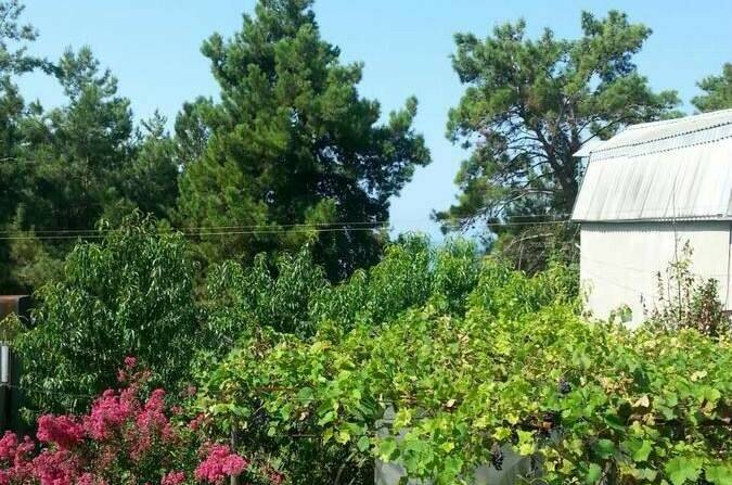 Изображение Изображение гостиницы &quot;Гостевой дом «Зара»&quot; #3 #1