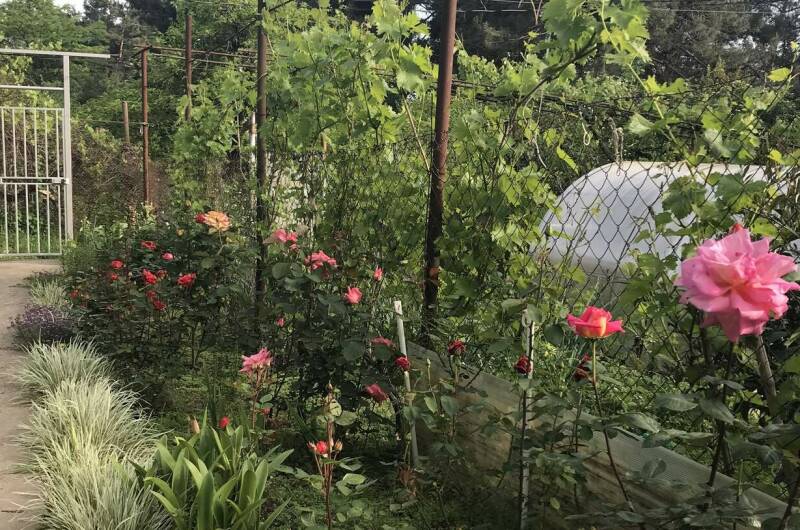 Изображение Изображение гостиницы &quot;Гостевой дом «Зара»&quot; #4 #2